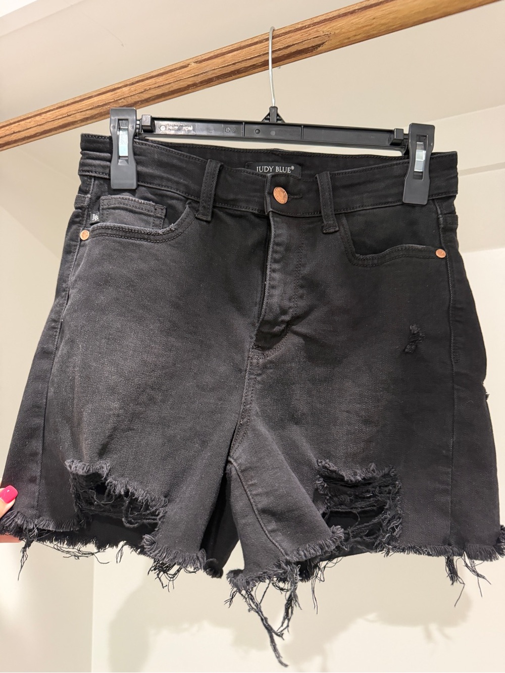 Judy Blue Black Frayed High-Rise Distressed Jean Shorts